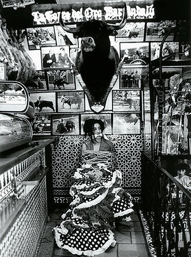 Prohibido el cante - Pilar Albarracín